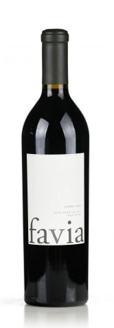 FAVIA CERRO SUR